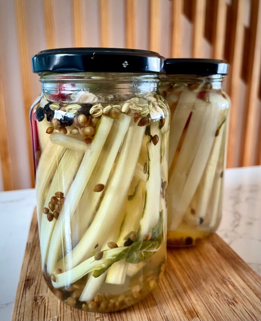 Homemade pickled silverbeet stems in glass jars with spices and vinegar brine